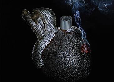 Сердце Сердце