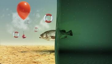 Стихии природы Стихии природы