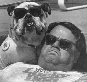 Собака близнец Собака близнец