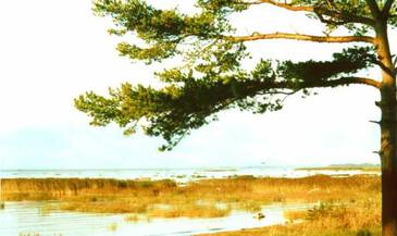 Освобождение сознания Освобождение сознания