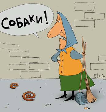 Породы собак картинки