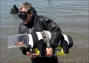 Собака водолаз Собака водолаз