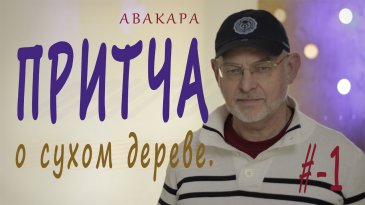Притча о Сухом дереве Притча о Сухом дереве