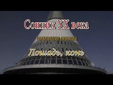 Лошадь. конь Лошадь. конь