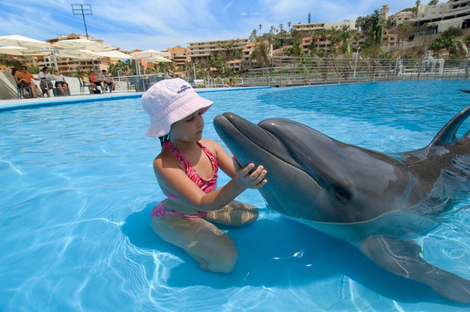 Дельфин, играть с дельфином