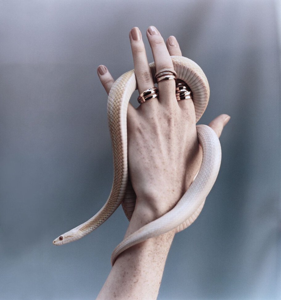 Змея обвивает руку