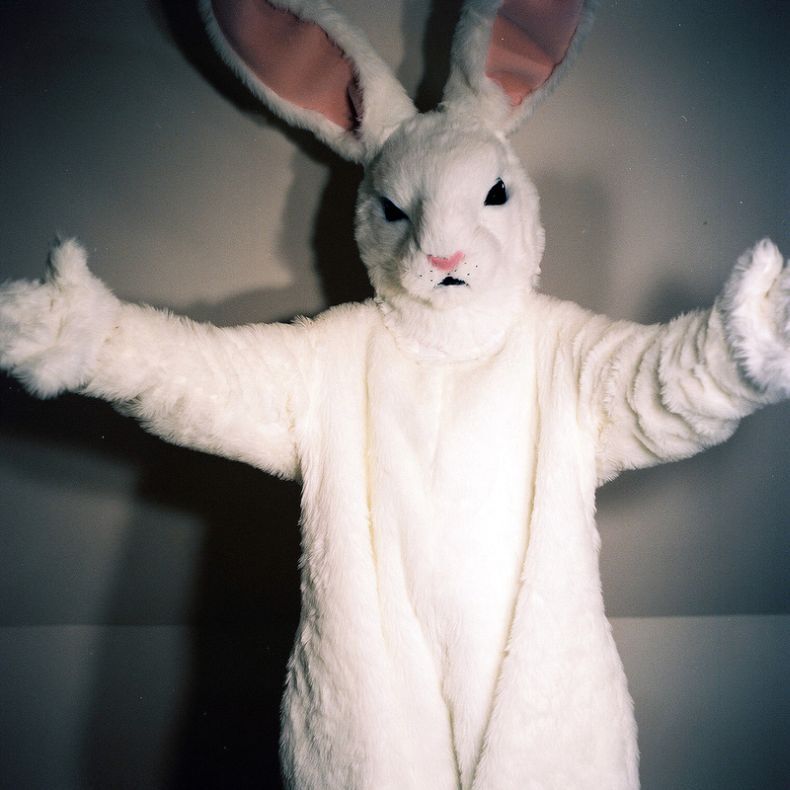 Человек в костюме зайца