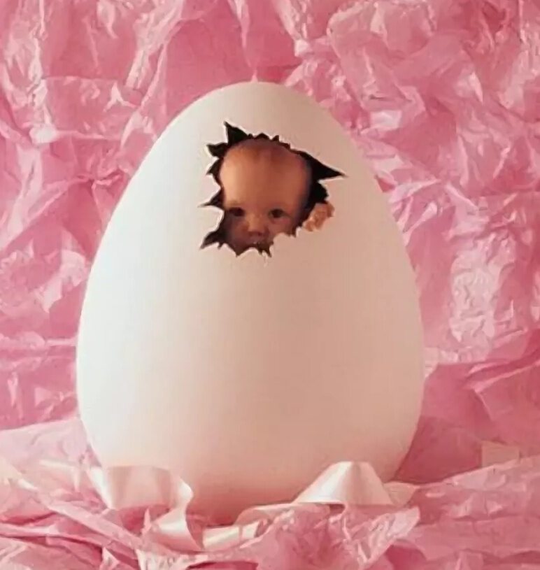Рожать яйцо