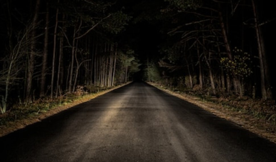 Темная дорога в лесу
