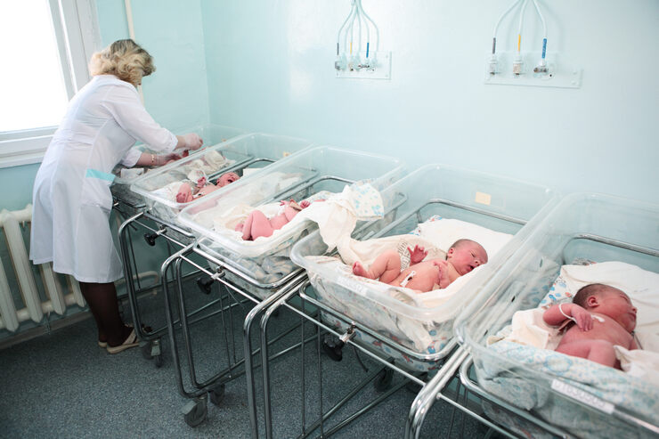 Человеческая плодовитость Человеческая плодовитость