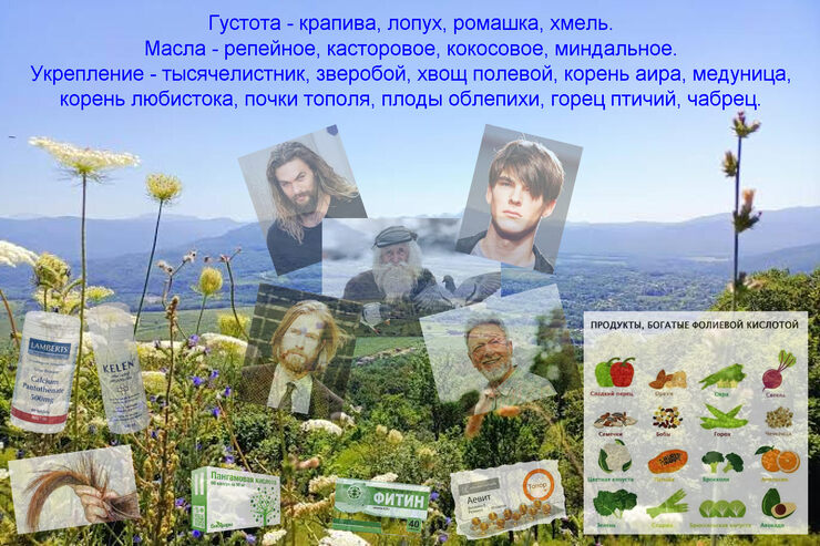 Действенный рецепт от облысения. Целитель 466 Действенный рецепт от облысения. Целитель 466