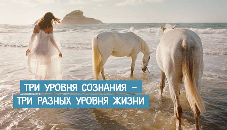 Эволюция сознания Эволюция сознания