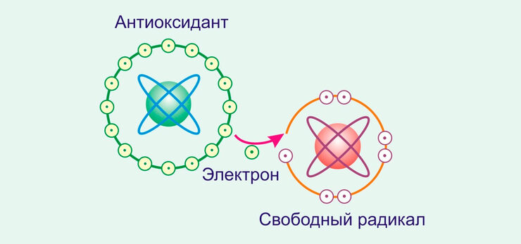 Свободные радикалы Свободные радикалы