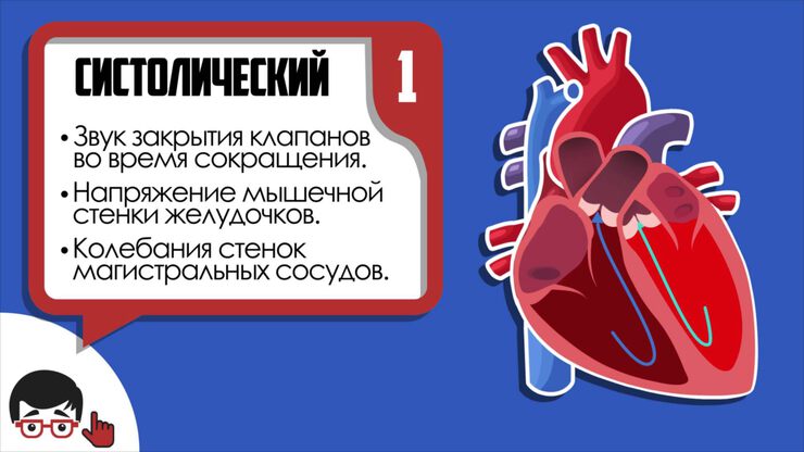 Работа сердца Работа сердца