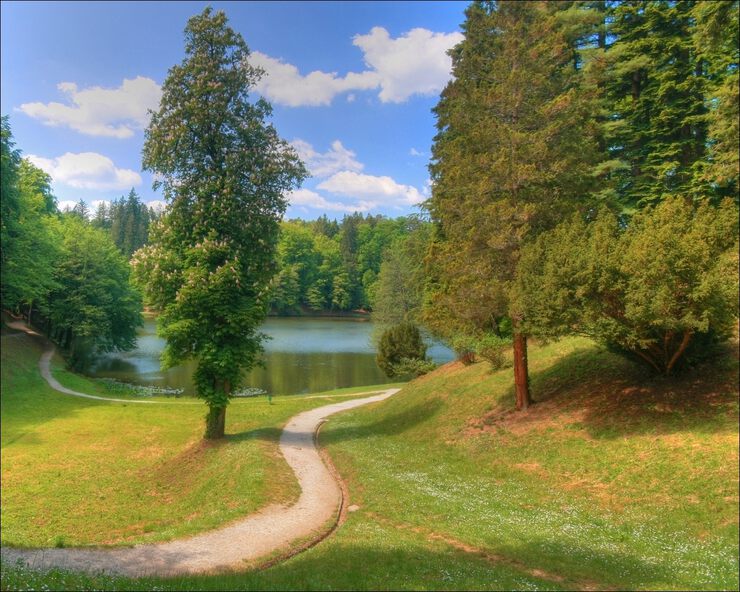 Природа времени Природа времени