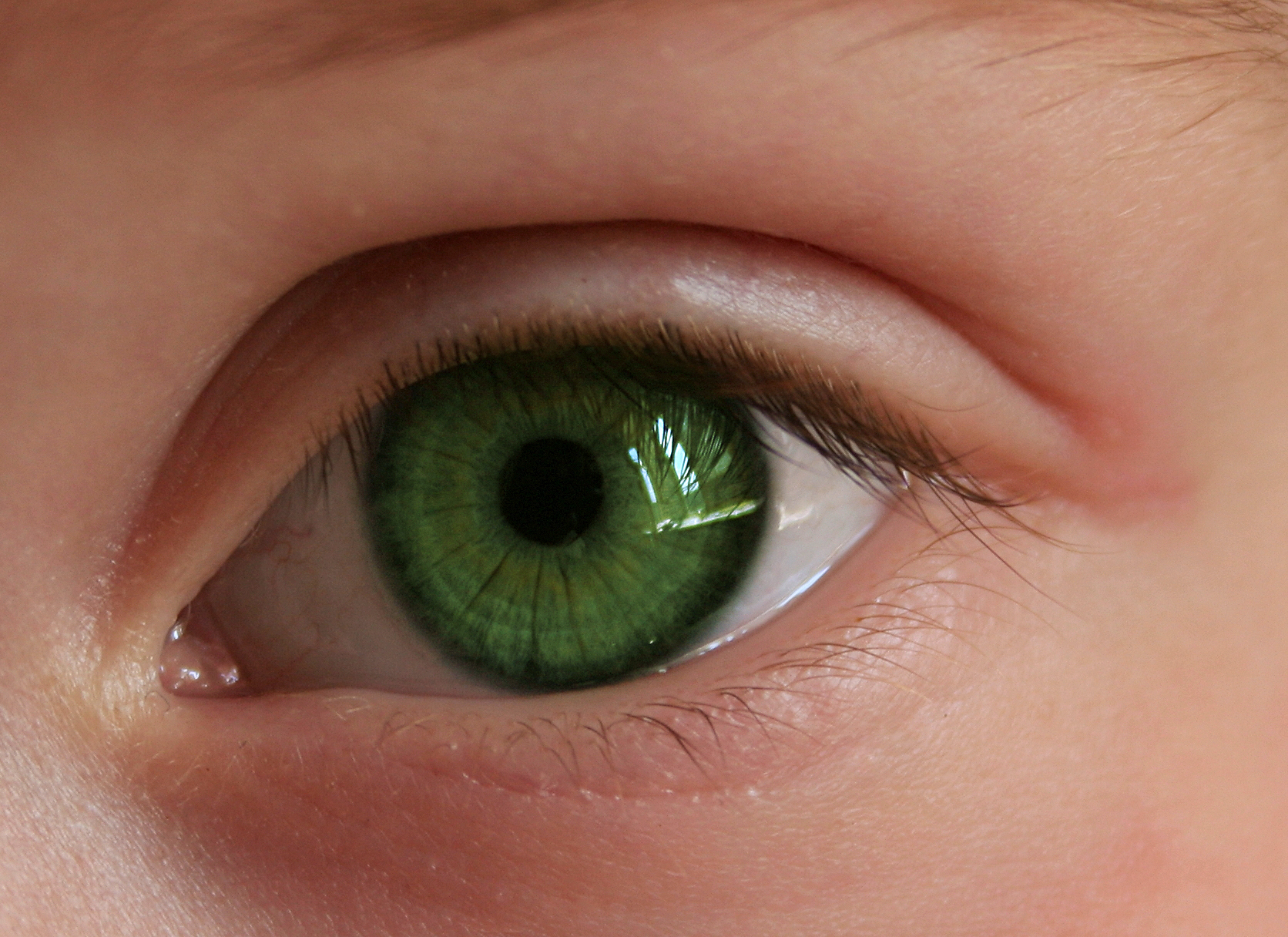 Ярко-зеленый цвет глаз