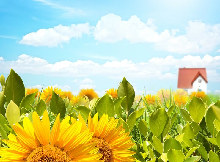 Меркурий ретроградный ноябрь 2025 года Меркурий ретроградный ноябрь 2025 года