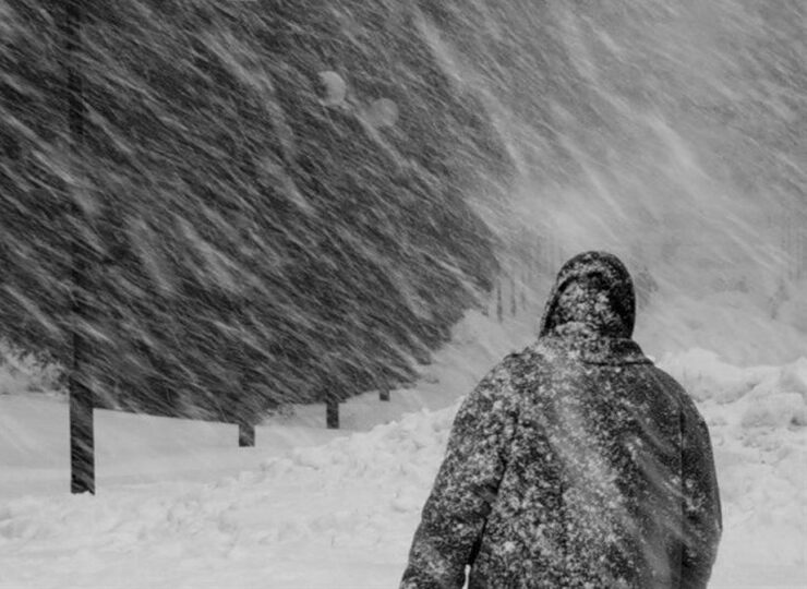 Заметает Заметает