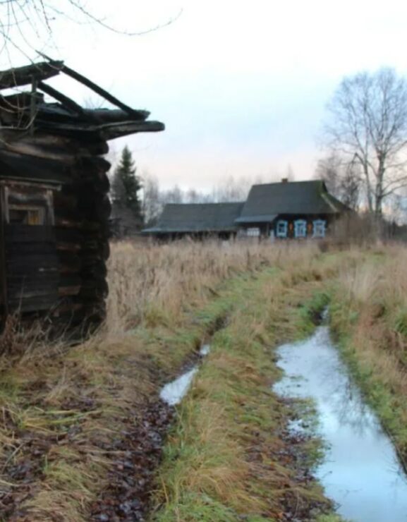 Куда тебя,Отчизна,занесло? Куда тебя,Отчизна,занесло?
