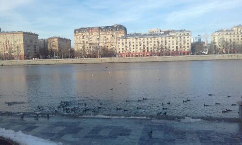 Москве Москве