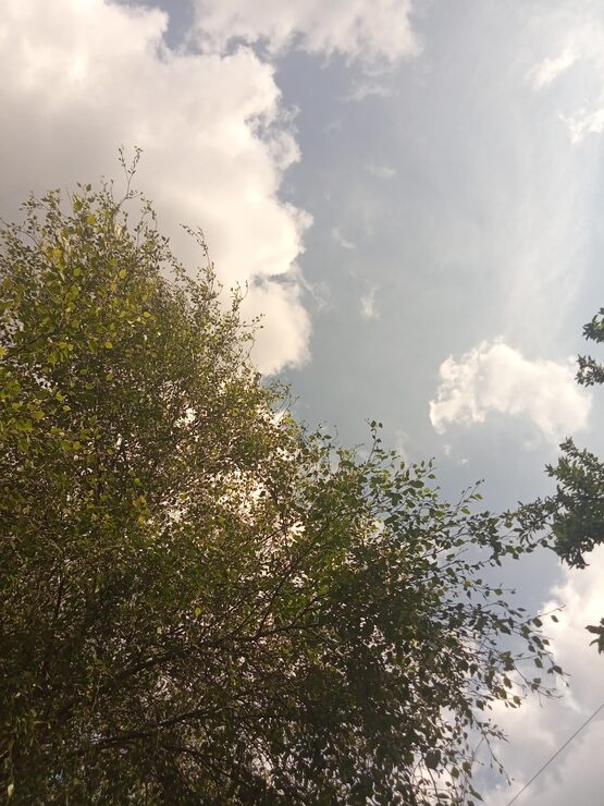 Твои глаза Твои глаза