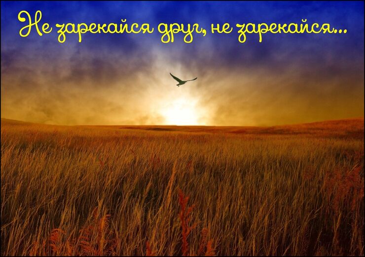 Не зарекайся Не зарекайся