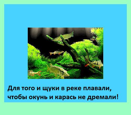 Прозевал Прозевал