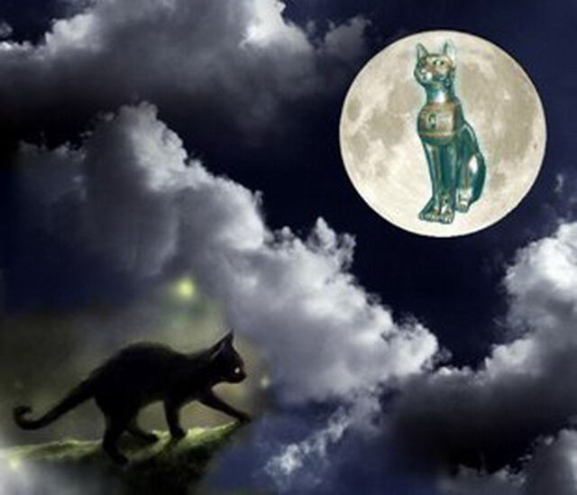Королева Холодных Ночей Королева Холодных Ночей