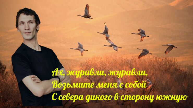 Ах, журавли, журавли, Ах, журавли, журавли,