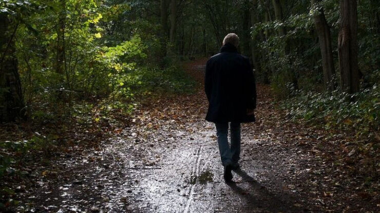 Осенние мотивы Осенние мотивы