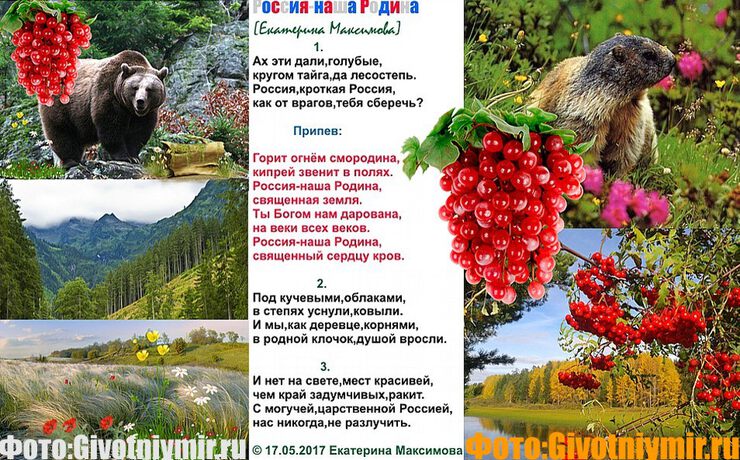 Россия-наша Родина Россия-наша Родина