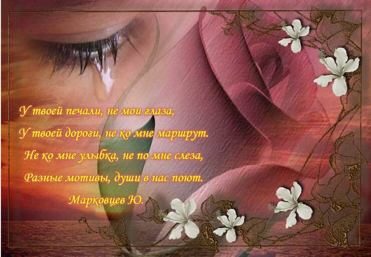 У твоей печали, не мои глаза У твоей печали, не мои глаза