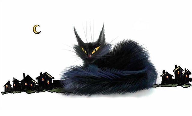 Черная кошка, узкая дорожка...