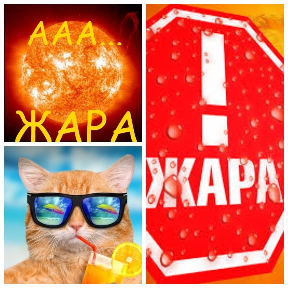 Прикол жара картинка