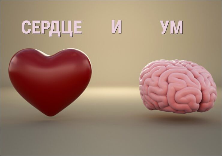 Ум всё принял Ум всё принял