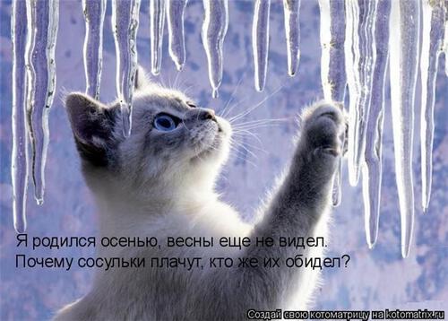 Из сосулек Из сосулек