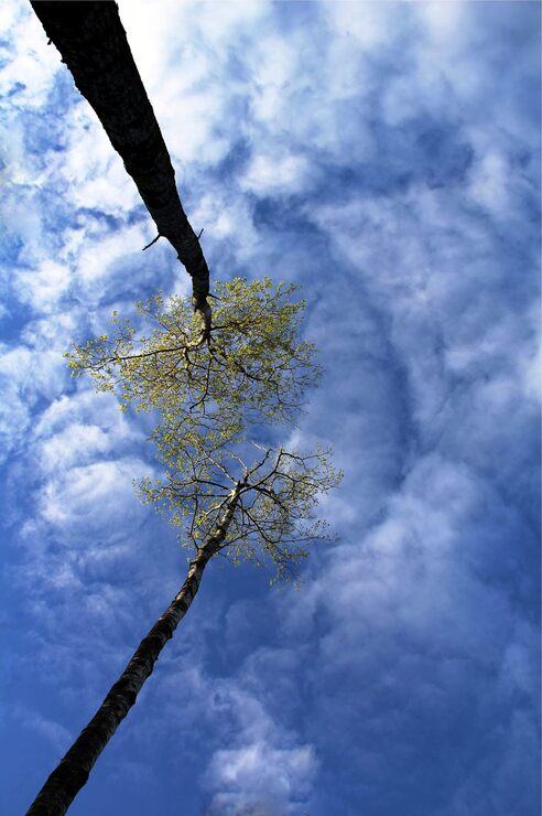 Невидимо Невидимо