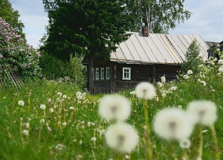 Возвращаться Возвращаться