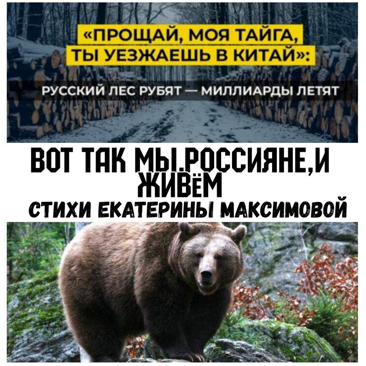 Вот так мы,Россияне,и живём Вот так мы,Россияне,и живём