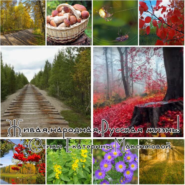 Живая, народная, Русская жизнь Живая, народная, Русская жизнь