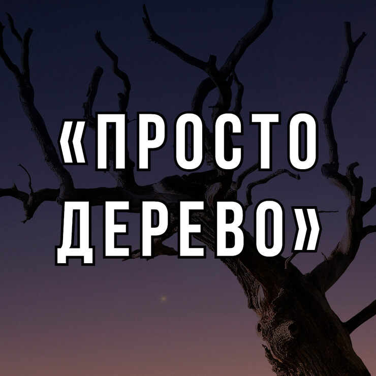Ствол засохшего дерева Ствол засохшего дерева
