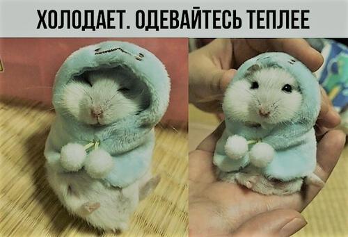 Имей сто друзей Имей сто друзей