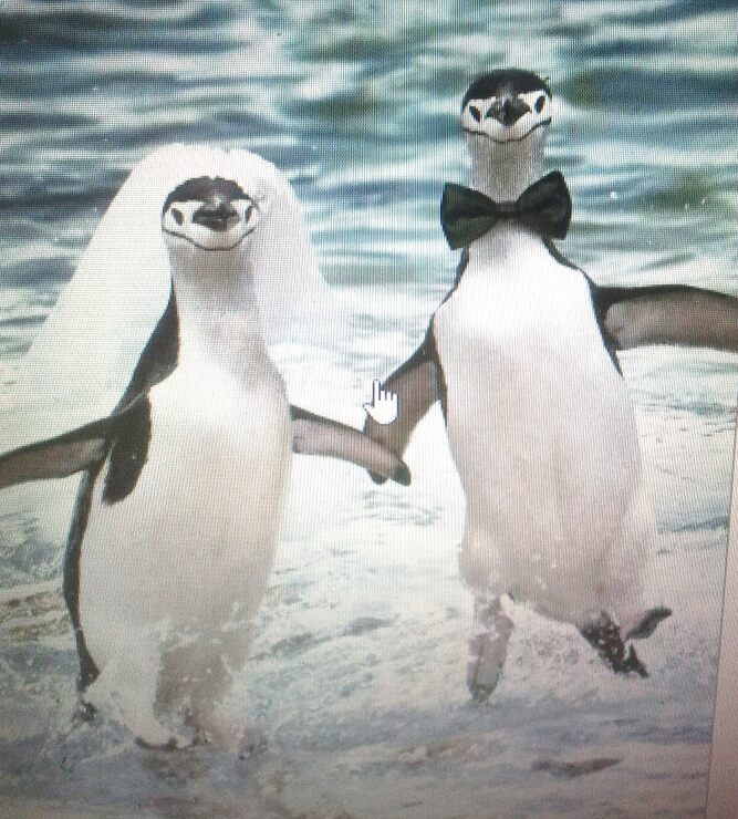 Курорт Курорт