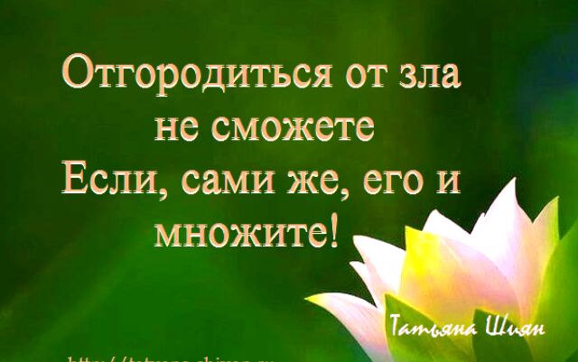 Крик Души. Включите мозги! Крик Души. Включите мозги!