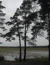 Опыт смерти. Картины прошлого Опыт смерти. Картины прошлого