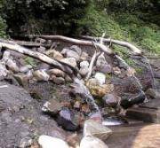 Святая вода Святая вода