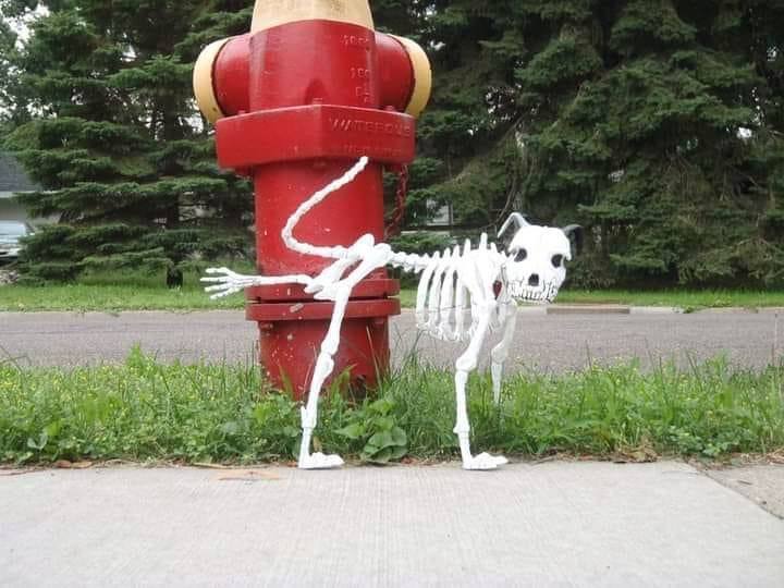 Что значит быть индивидуальностью? Что значит быть индивидуальностью?