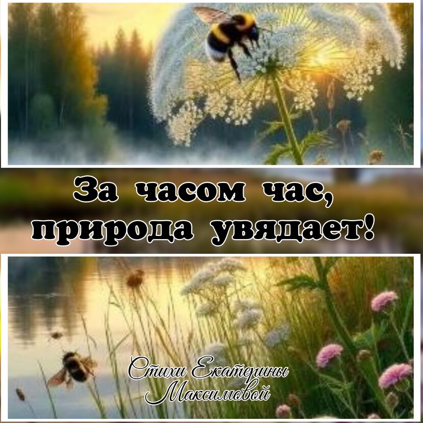 Фото За часом час, природа увядает