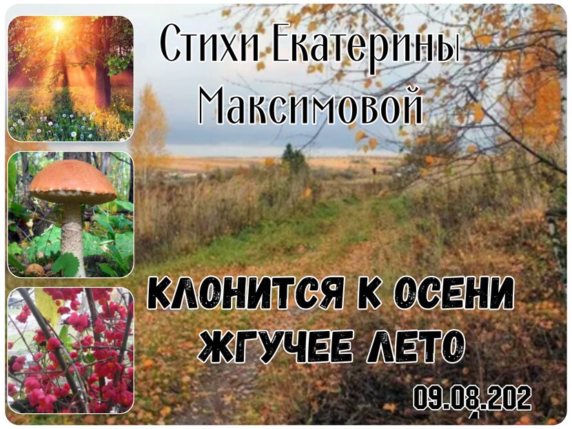 Фото Клонится к осени жгучее лето