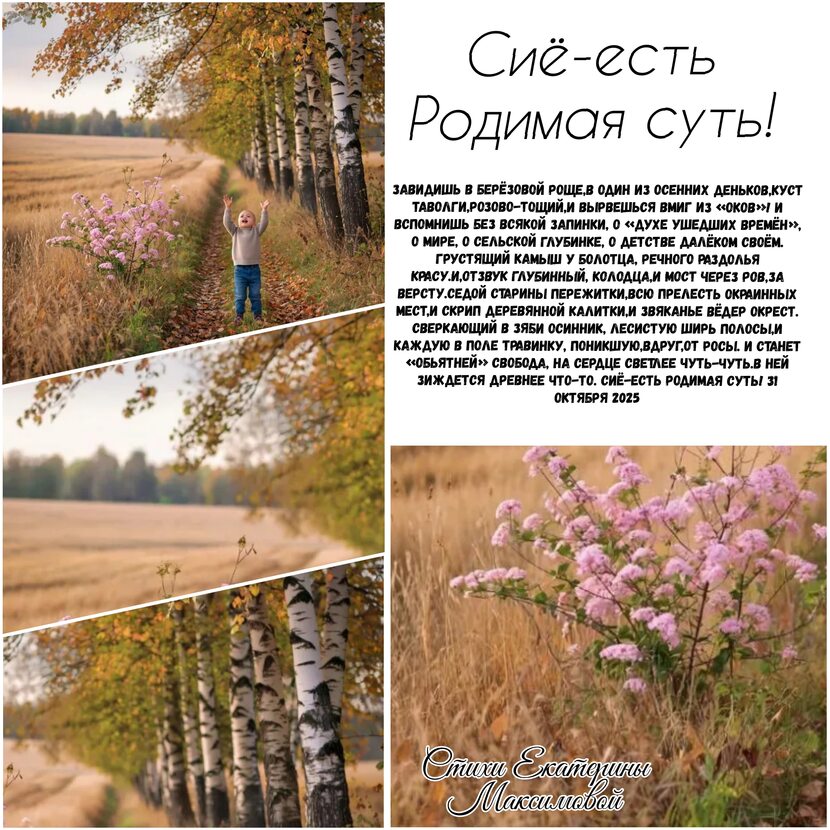 Фото Сиё есть родимая суть